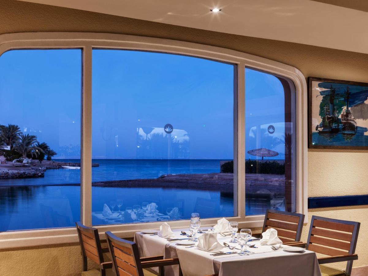 Club Paradisio El Gouna Red Sea 후르가다 외부 사진