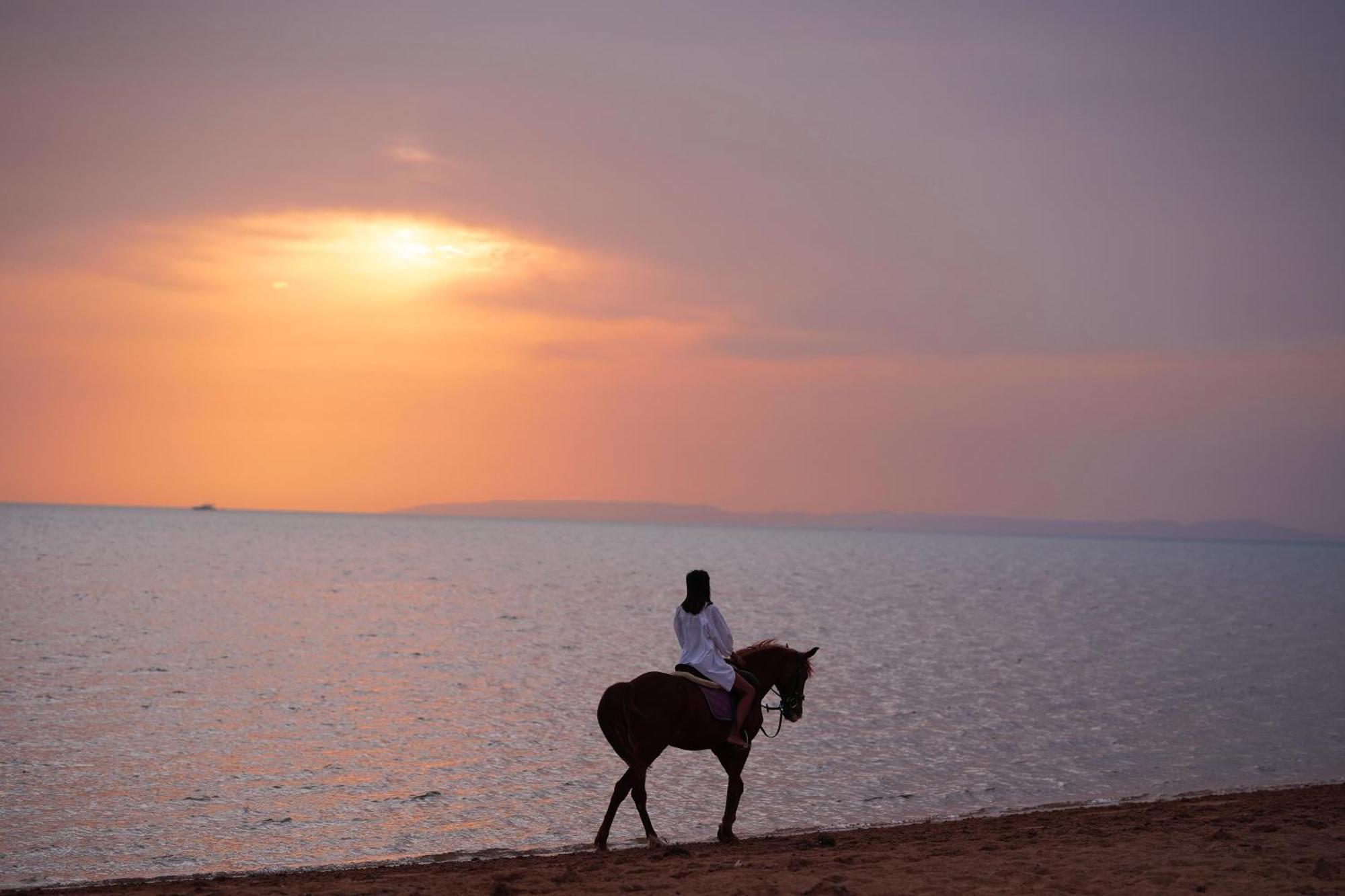 Club Paradisio El Gouna Red Sea 후르가다 외부 사진