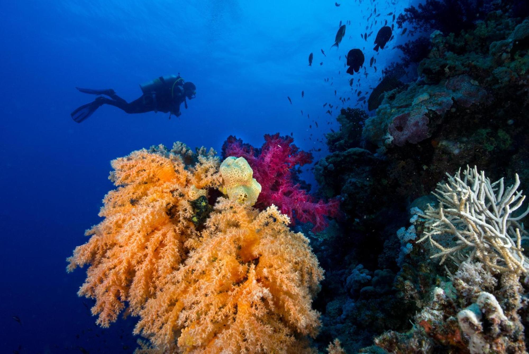 Club Paradisio El Gouna Red Sea 후르가다 외부 사진